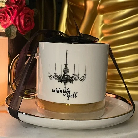 ELEGANCE Midnight Spell Chandelier Cup And Saucer Set 🖤🖤🖤 - Picture 1 of 7